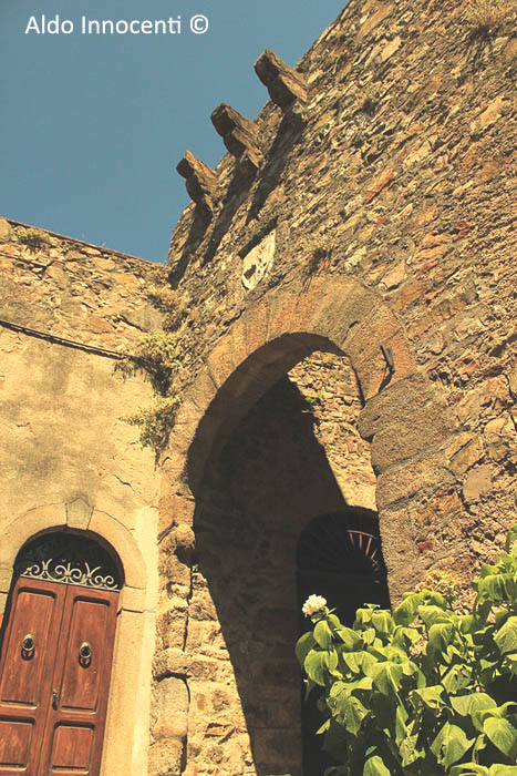 TATTI: PORTA